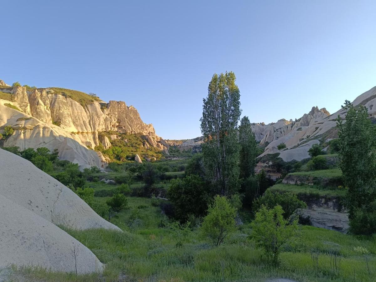 Sah Saray Cave Suites Halal Hotel Goreme Exterior photo